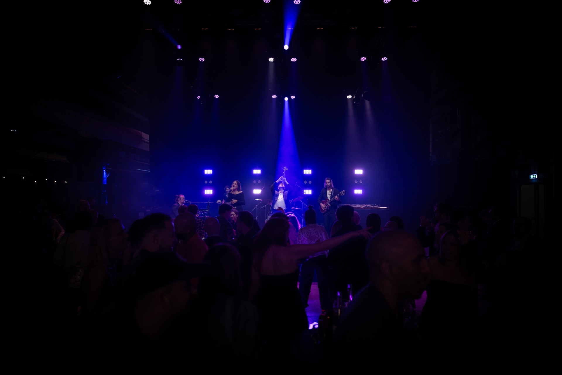 Lupa Entertainment live band on stage